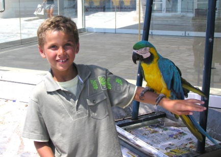 Vacances Crète 2008 -266.JPG